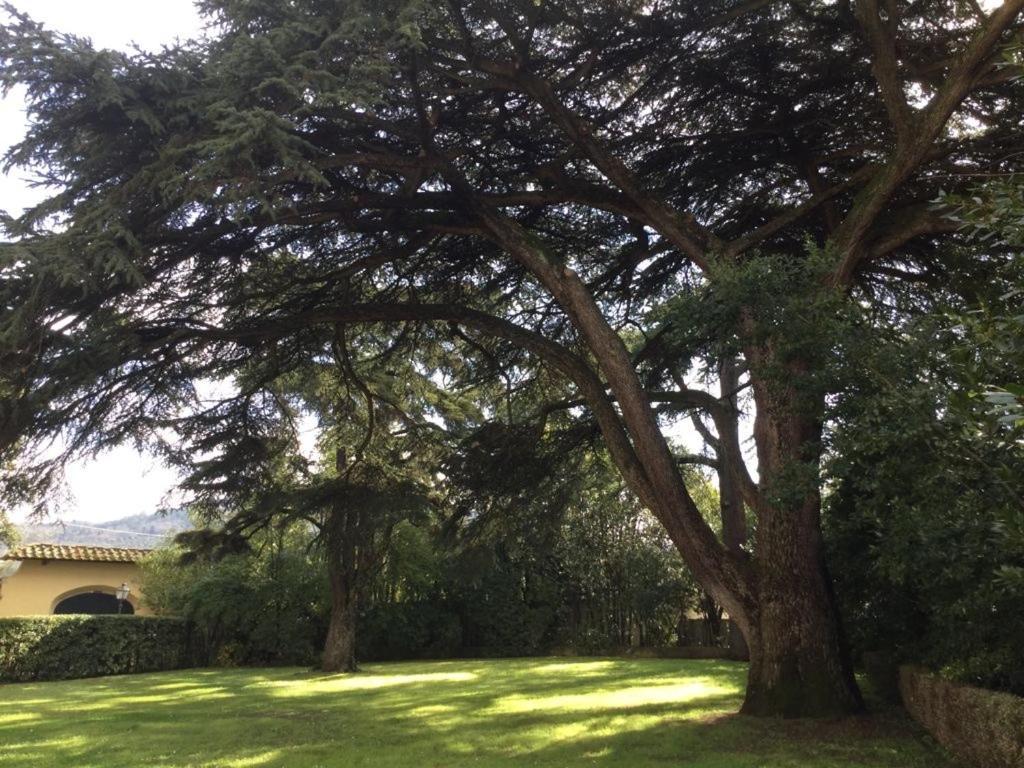Villa Il Padule Bagno a Ripoli Exteriér fotografie