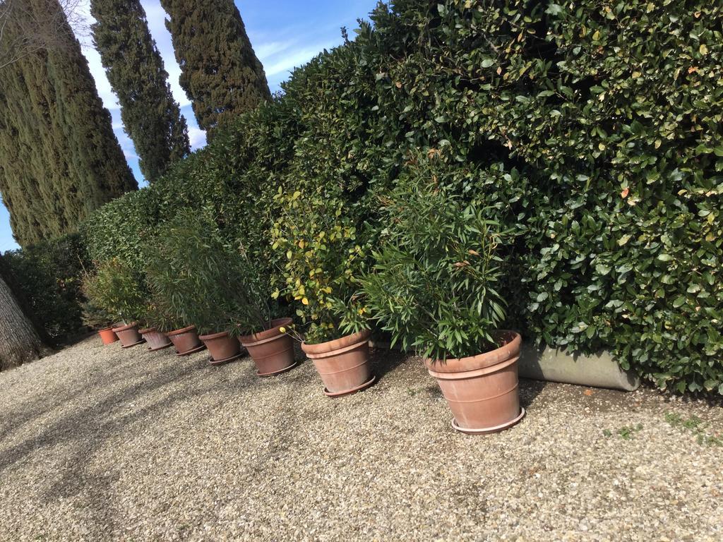 Villa Il Padule Bagno a Ripoli Exteriér fotografie
